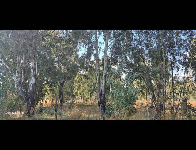 FARM FOR SALE IN MIDVAAL